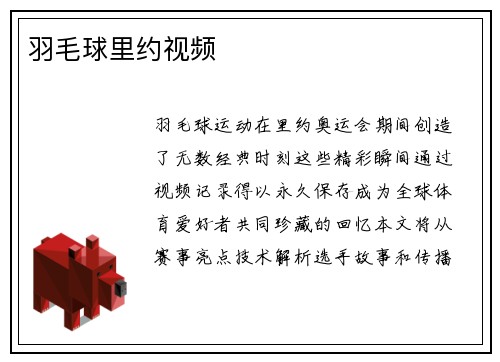 羽毛球里约视频